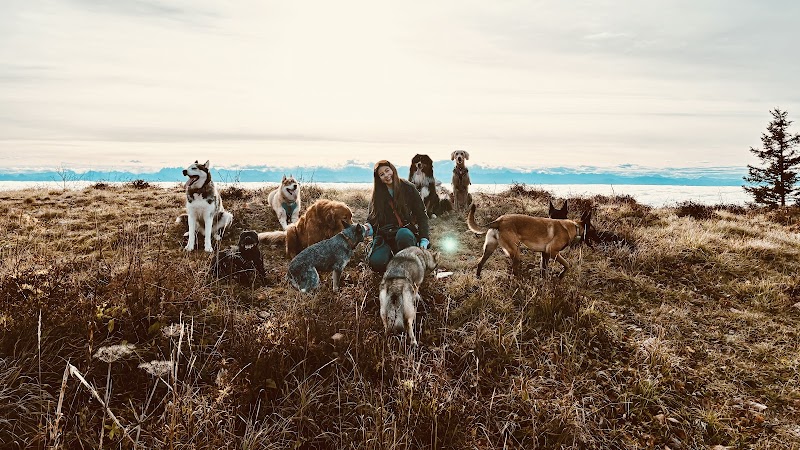 Marika Dog Sitter — dogsitter à Saint-Genis-Pouilly