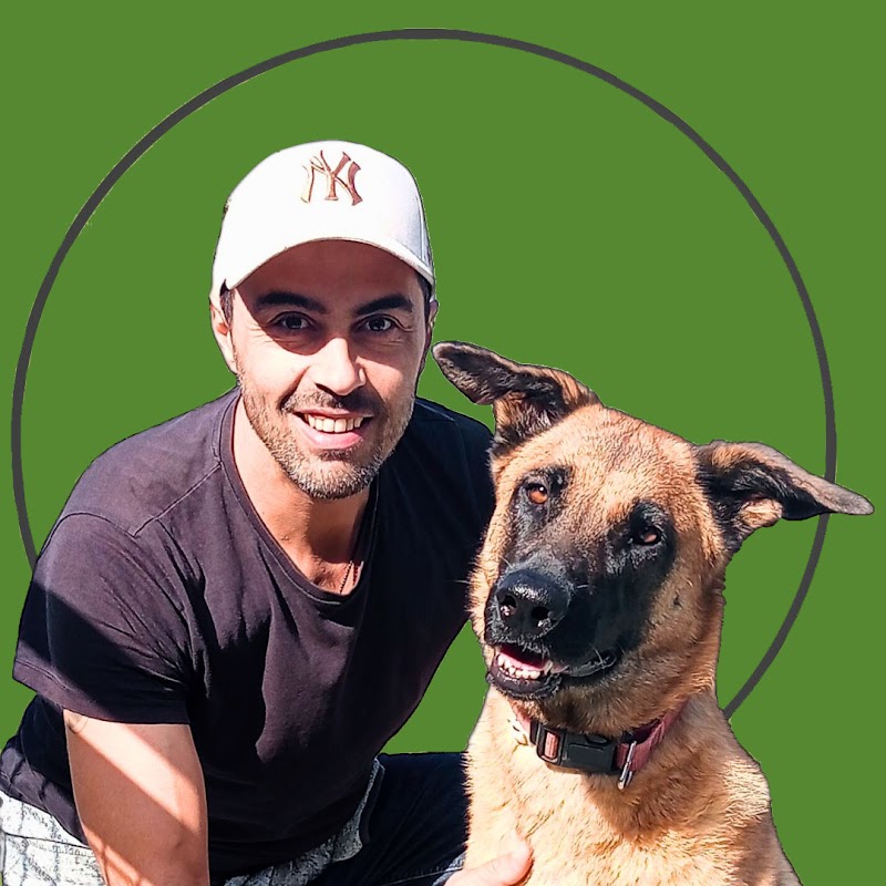 MaxnDogs — dogsitter à Toulouse