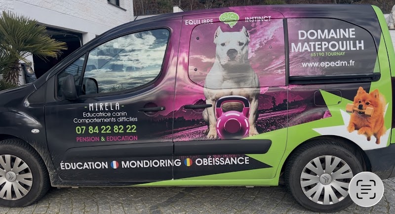 Mirella Manole — dogsitter à Lannemezan