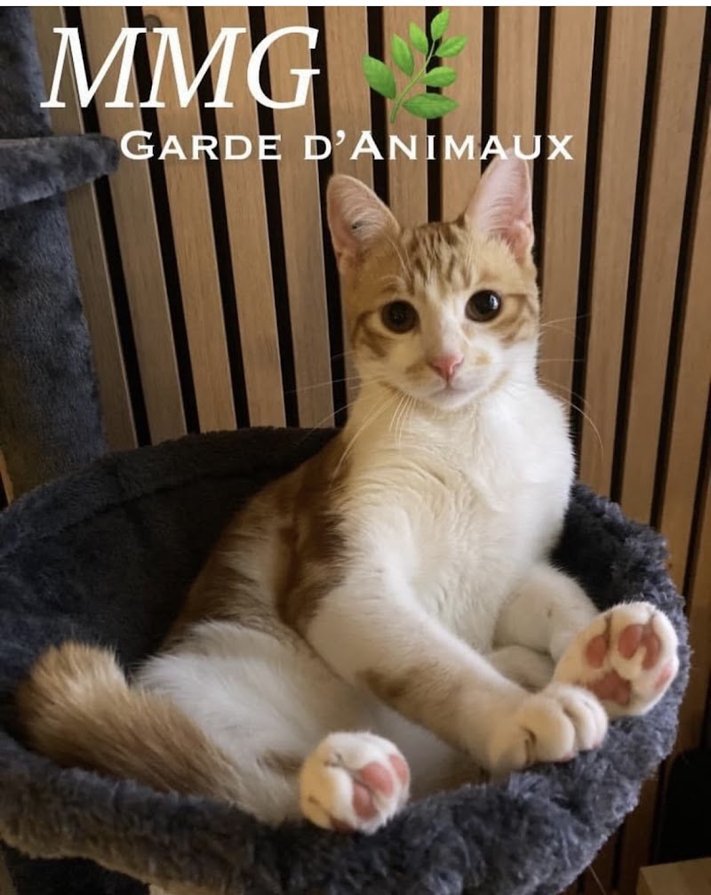 MMG ACTIVITE Garde d'Animaux — dogsitter à Toulouse