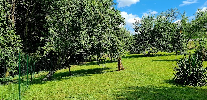 Mon compagnon est un VIP — dogsitter à Rethel