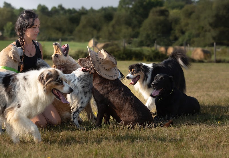 O Ranch Canin — dogsitter à Saint-Astier