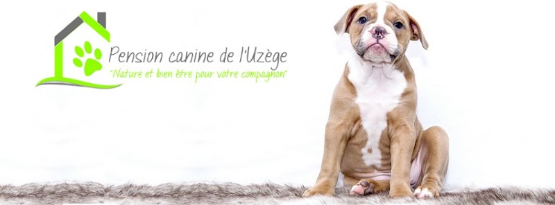 Oo — dogsitter à Uzès