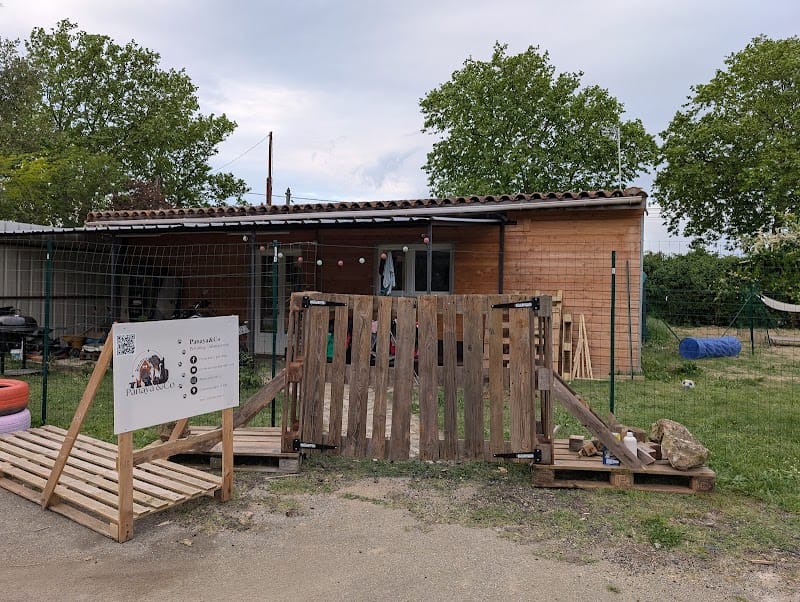 Panaya&Co — dogsitter à Castelnaudary