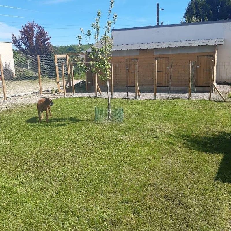 partez zen — dogsitter à Bagnères-de-Bigorre