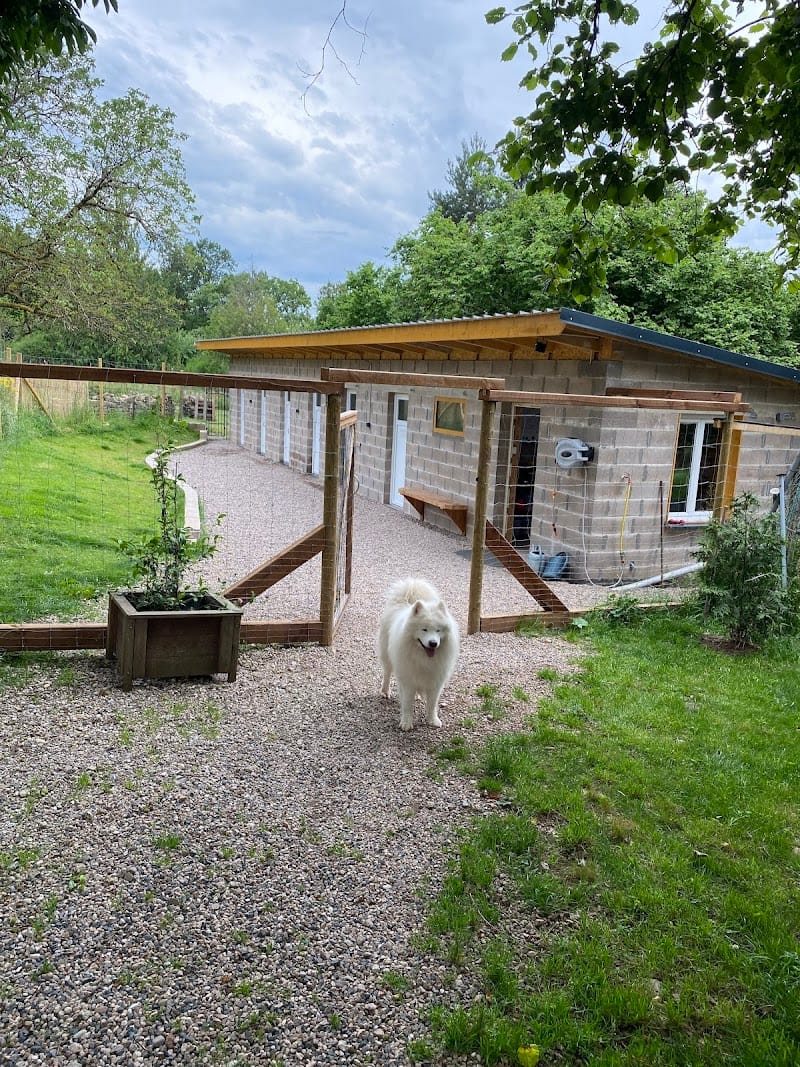 Pas à pattes — dogsitter à Saint-Dié-des-Vosges