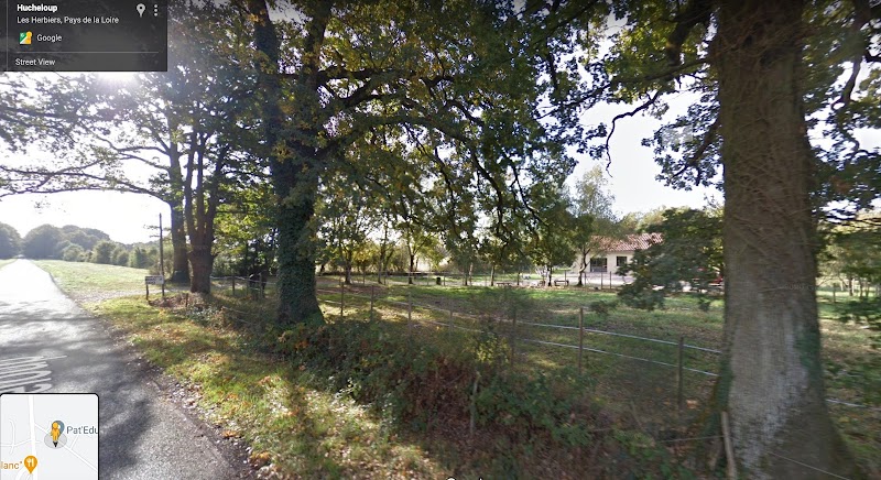 pat'education — dogsitter à Les Herbiers