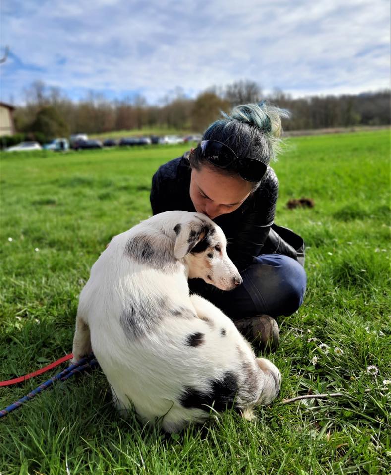 Patt'n'Couffins — dogsitter à Toulouse