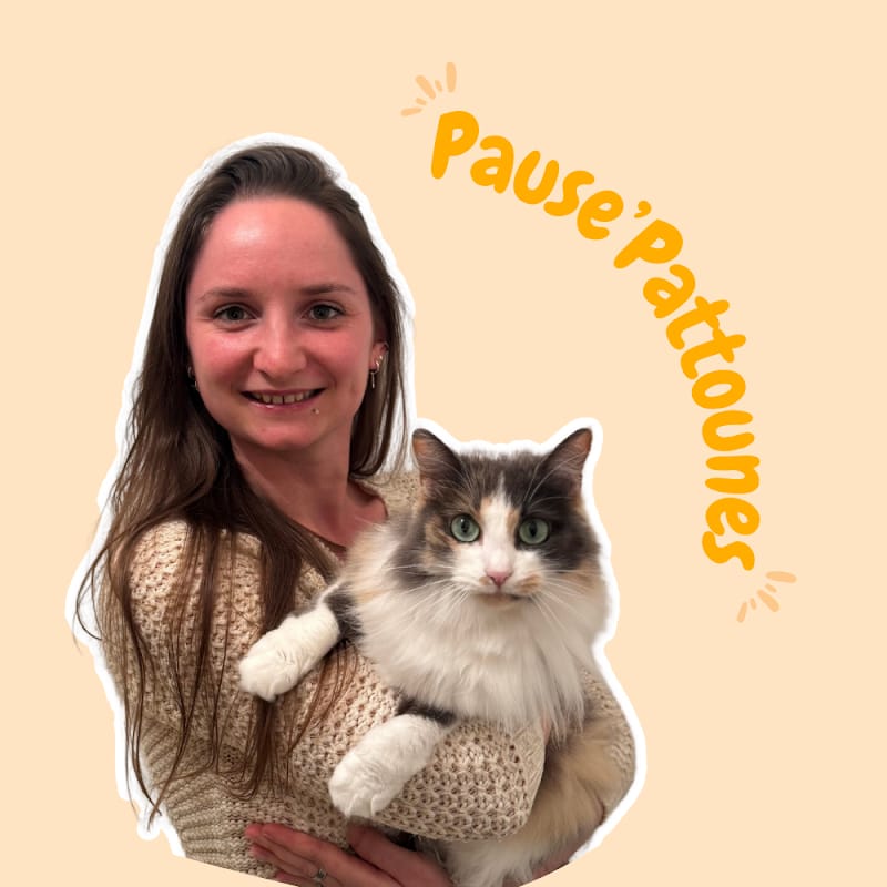 Pause'Pattounes - Pet Sitter chiens, chats, lapins — dogsitter à Bordeaux
