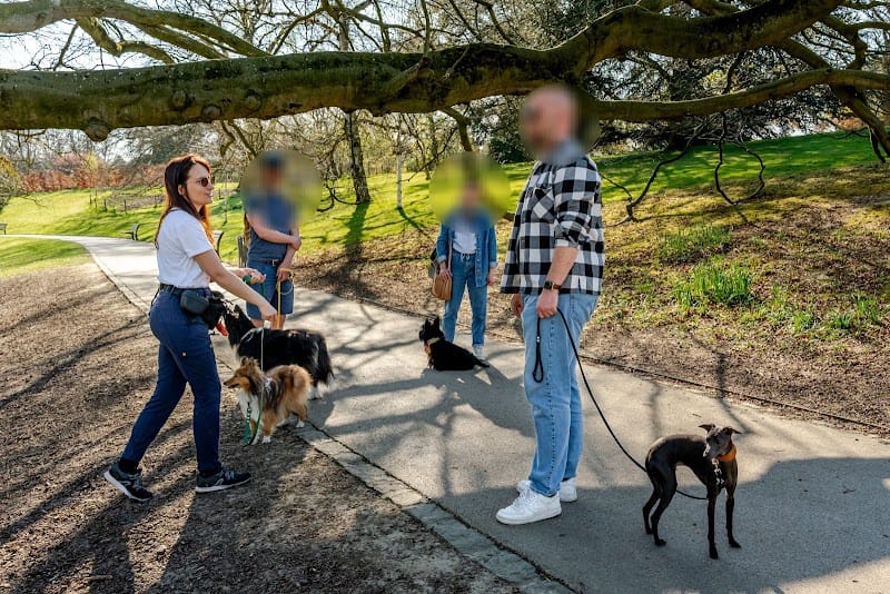 Paws Therapy - pension, éducation & comportement canin — dogsitter à Lille