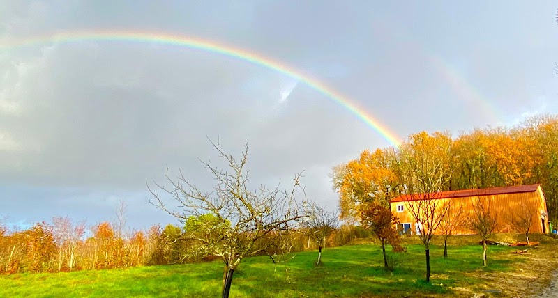 PENSION CANINE DES CABANES TCHANQUEES — dogsitter à Libourne