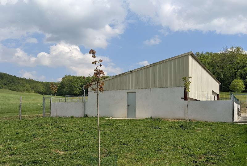 Pension Canine du Vallon des Bécasses — dogsitter à Marmande