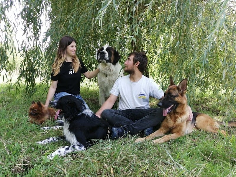 Pension canine en famille (44) — dogsitter à Nantes