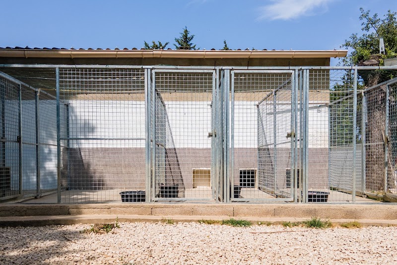 Pension Canine Eyragues — dogsitter à Avignon