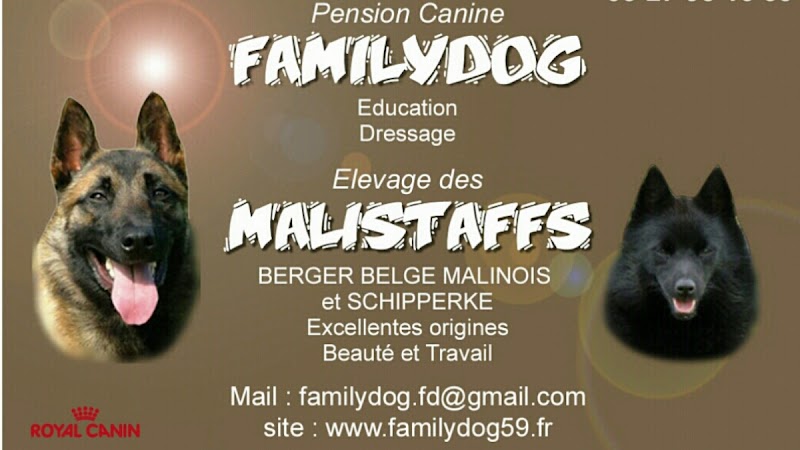 Pension Canine Familydog59 et Élevage de Bergers Belges Malinois — dogsitter à Denain