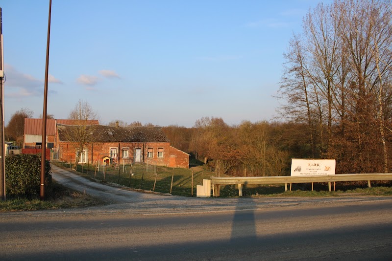 pension canine My Love — dogsitter à Guise