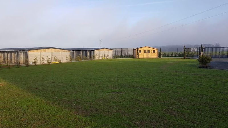 Pension Canine Paradisdog — dogsitter à Douai