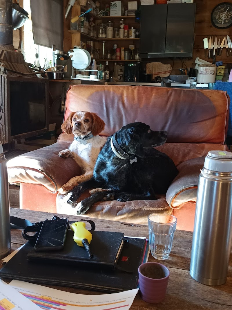 Pension canine — dogsitter à Toulon