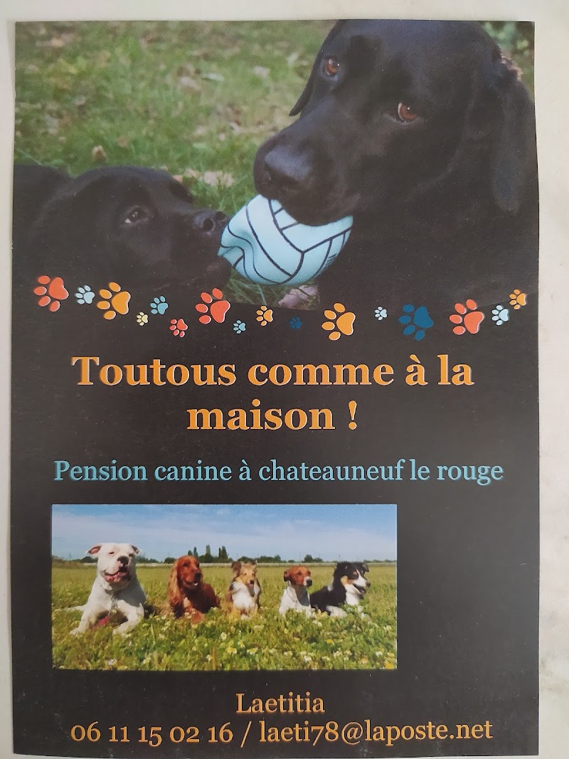 Pension canine Toutous comme à la maison — dogsitter à Gardanne