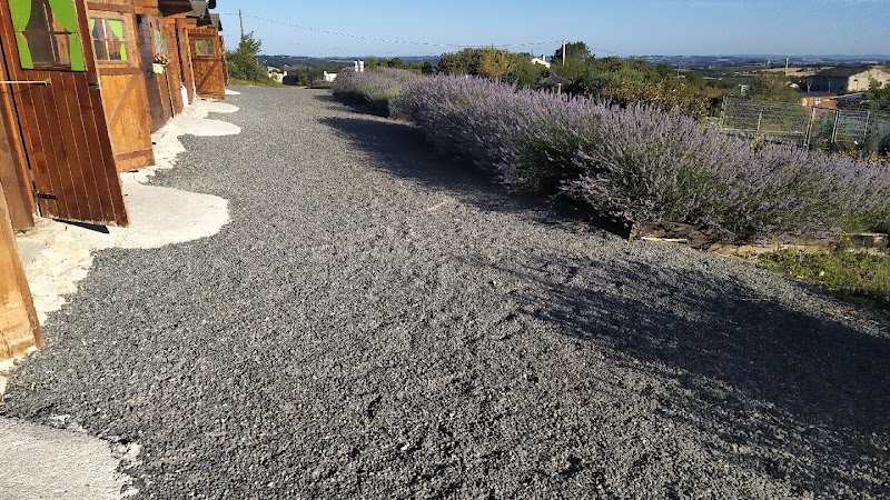 Pension chien et chat et Elevage Des Pas Des Bêtes — dogsitter à Castres