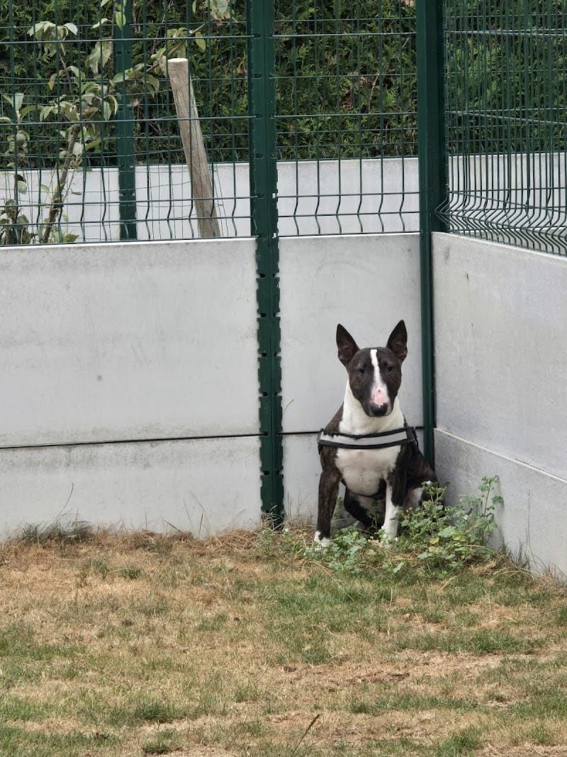 Pension de Bonavis — dogsitter à Cambrai