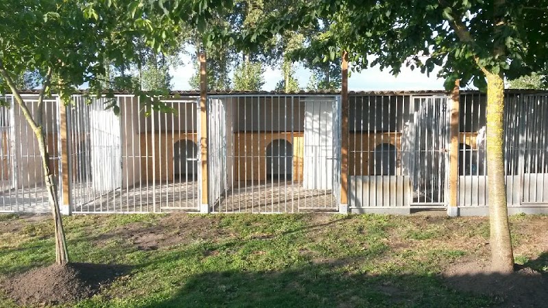 Pension Diablotin Dog — dogsitter à Valenciennes