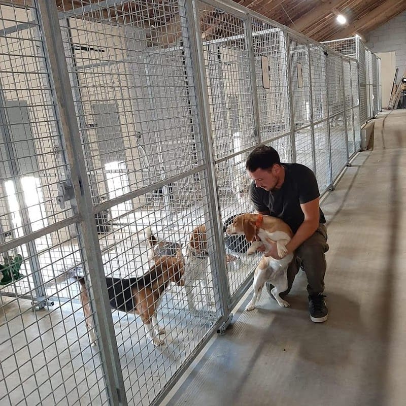 Pension/Education de L'Elevage de Destarac — dogsitter à Castelsarrasin