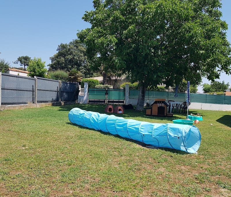 Pension familliale canine. Stéphanie Pet-Sitter. — dogsitter à Royan