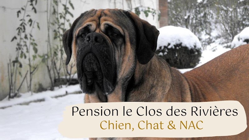 Pension le Clos des Rivières — dogsitter à Chemillé-en-Anjou