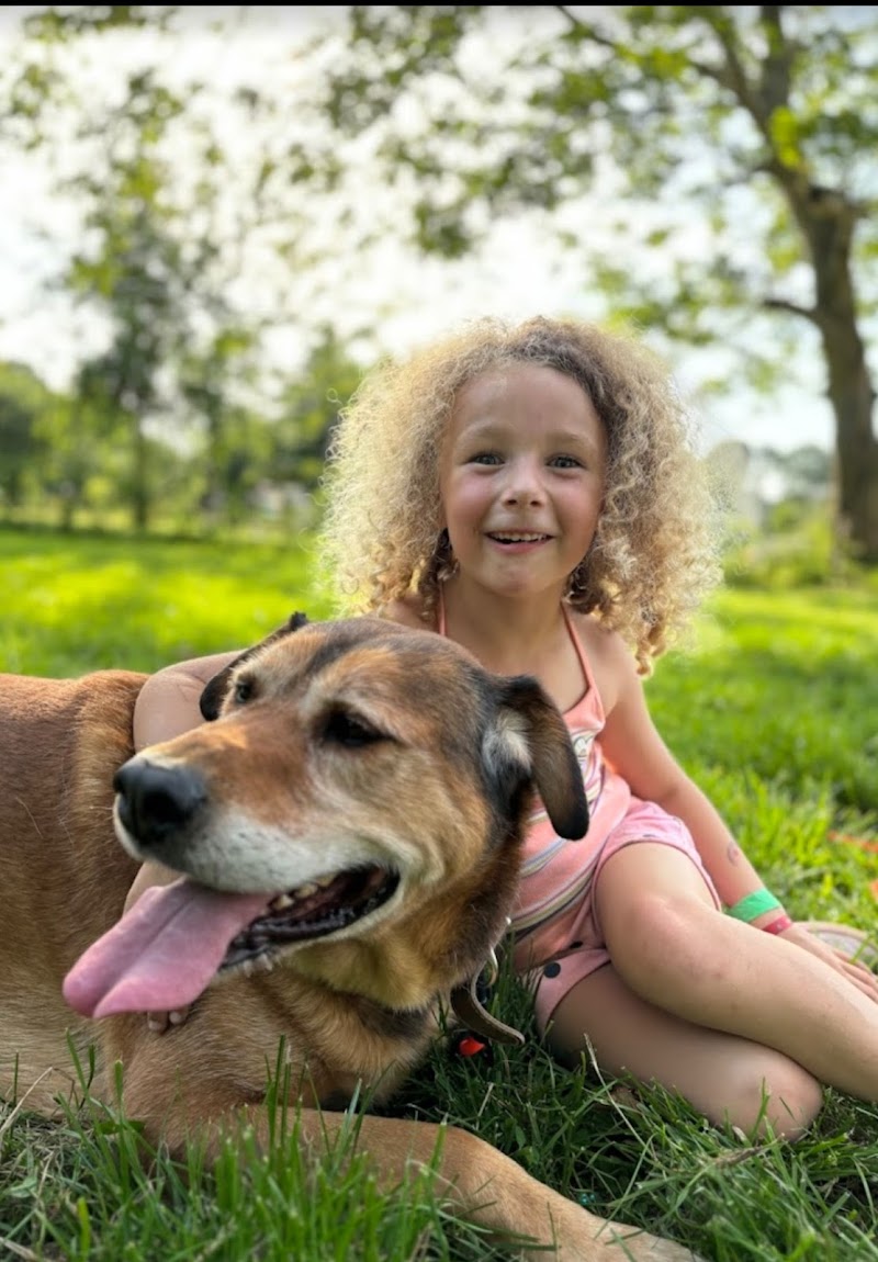 Pension pour chien du Centre canin des Vallons de la Sée — dogsitter à Saint-Hilaire-du-Harcouët