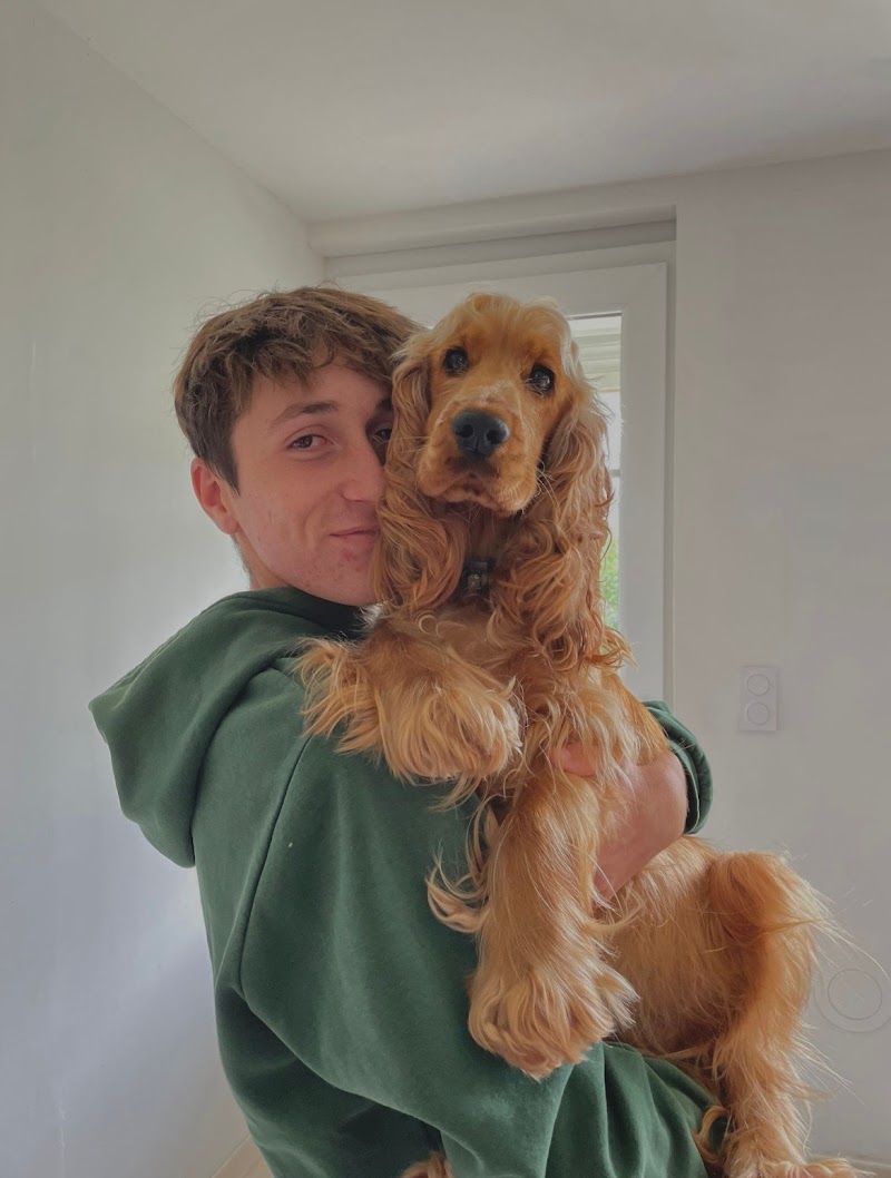 Pif et Pattes — dogsitter à Orée d'Anjou