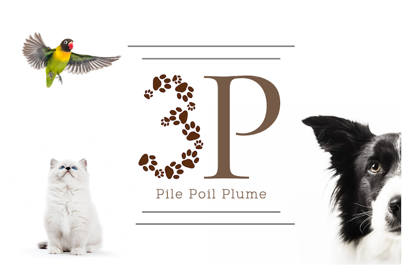 Pile Poil Plume | Petsitter Strasbourg — dogsitter à Strasbourg
