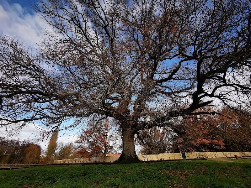 Prairie de Meycat — dogsitter à Bordeaux