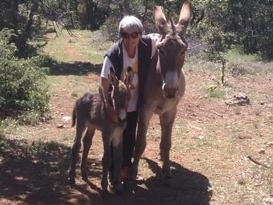 Provenc'ânes — dogsitter à Pourrières