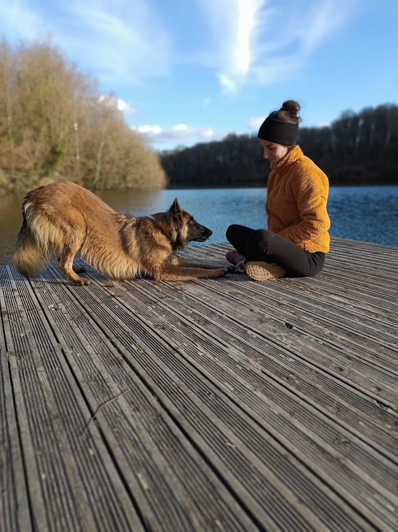 Ramses et Compagnie — dogsitter à Nantes