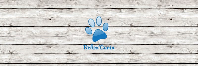 Reflex'Canin — dogsitter à Denain