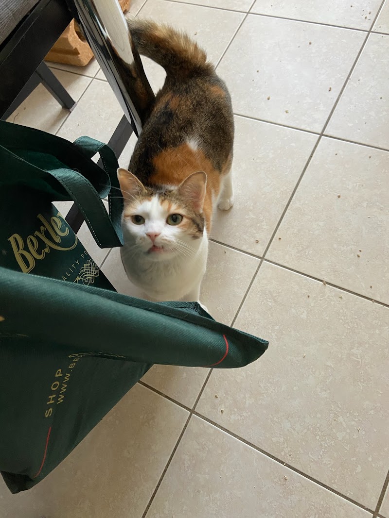 Sam’ Animaux — dogsitter à Lyon