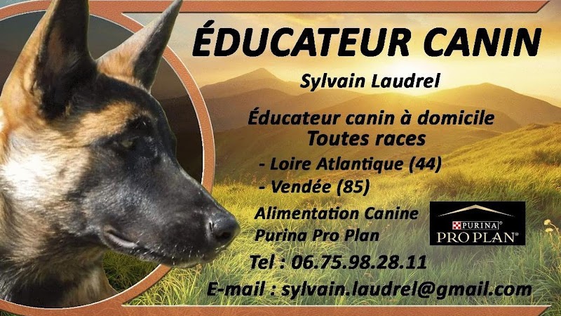 Sylvain Laudrel — dogsitter à Pornic