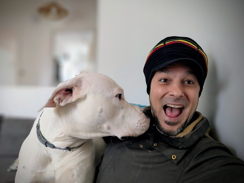 The Walking Dread - Promenade Chien et Visite à Domicile Animaux — dogsitter à Vannes