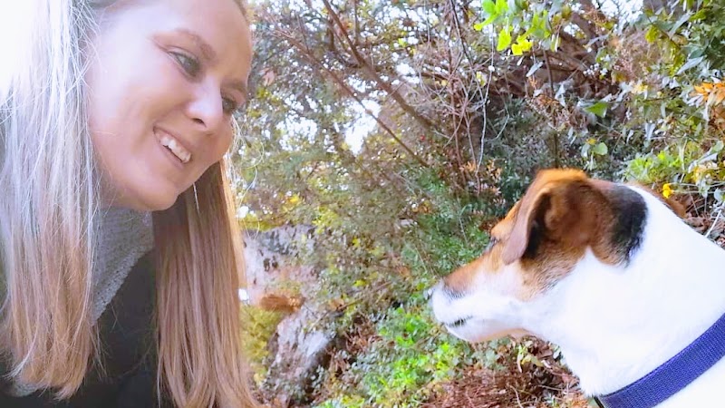 Tigrou et Scooby-doo — dogsitter à Cannes