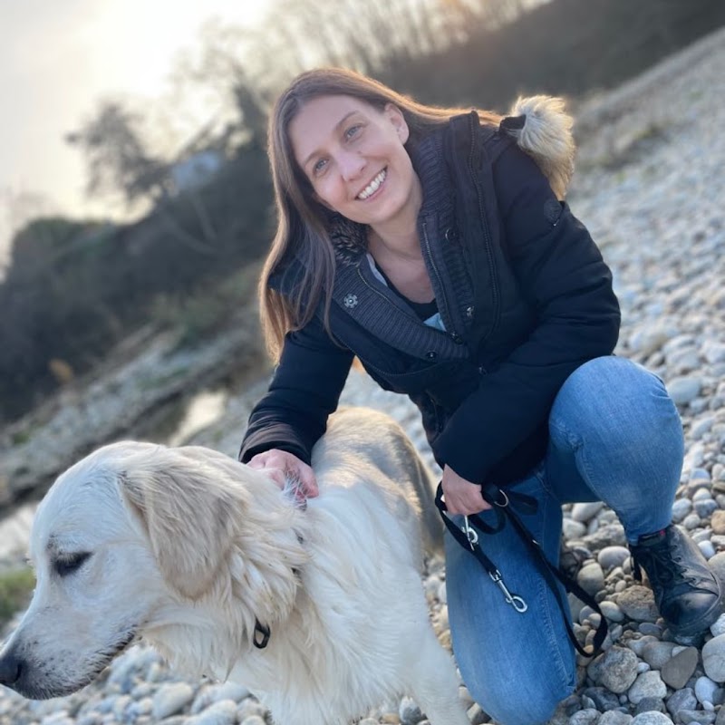 toutou dans les pattes — dogsitter à Muret