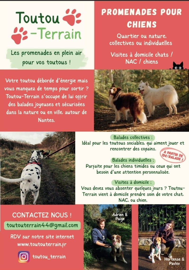 Toutou-Terrain Petsitting — dogsitter à Nantes
