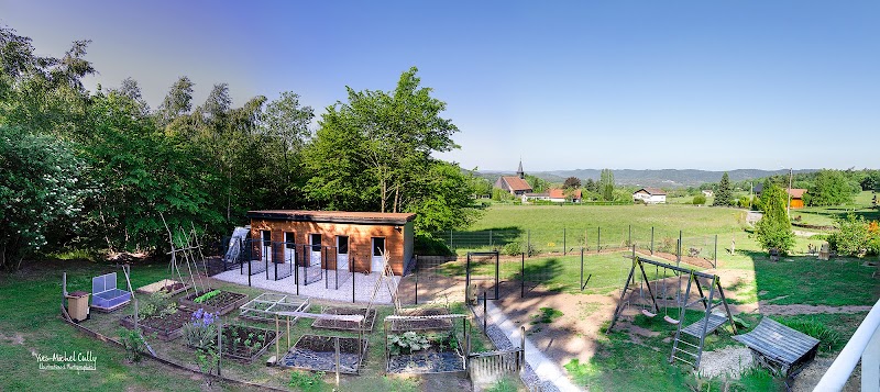 Toutoucool — dogsitter à Saint-Dié-des-Vosges