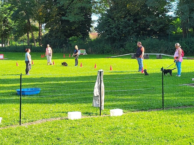 Union Canine Anzinoise — dogsitter à Valenciennes