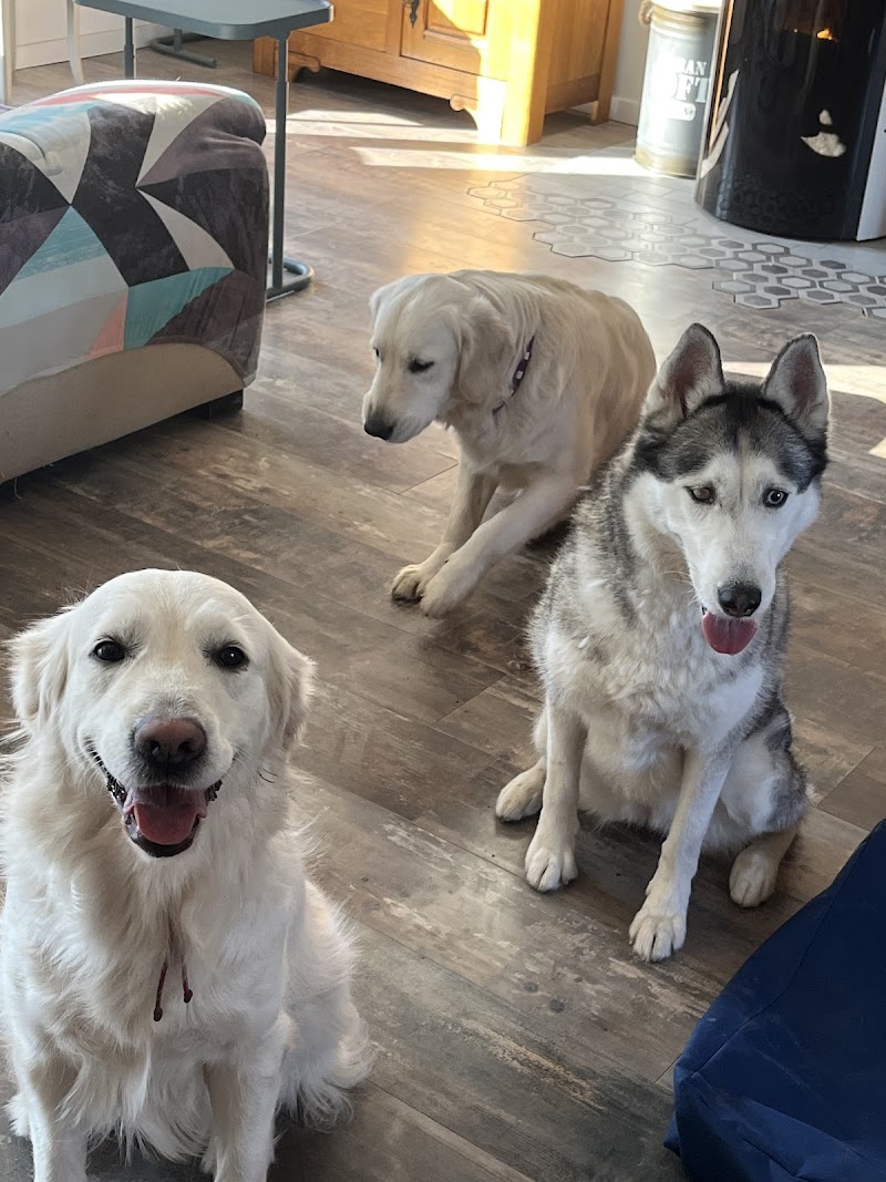 Vandaele Jessica — dogsitter à Calais