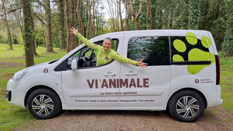 Vi’Animale - Services pour animaux de compagnie — dogsitter à Vannes