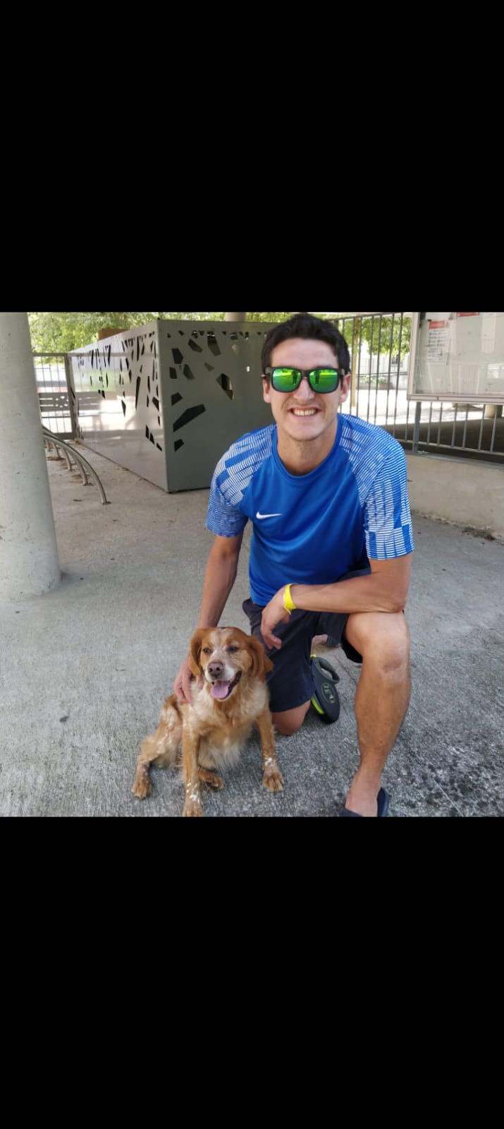 Vinc' Education — dogsitter à Lyon