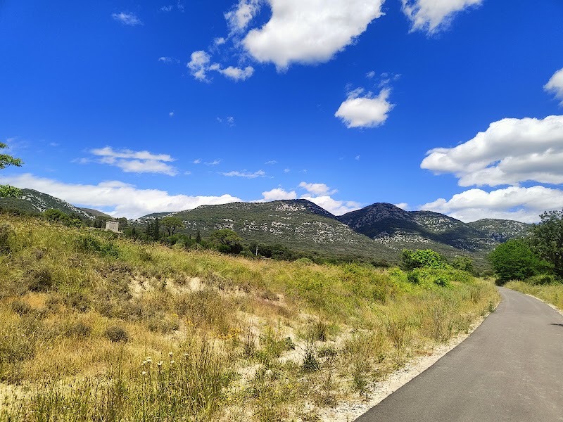 Voie verte Ganges - Saint Hippolyte du Fort — dogsitter à Le Vigan