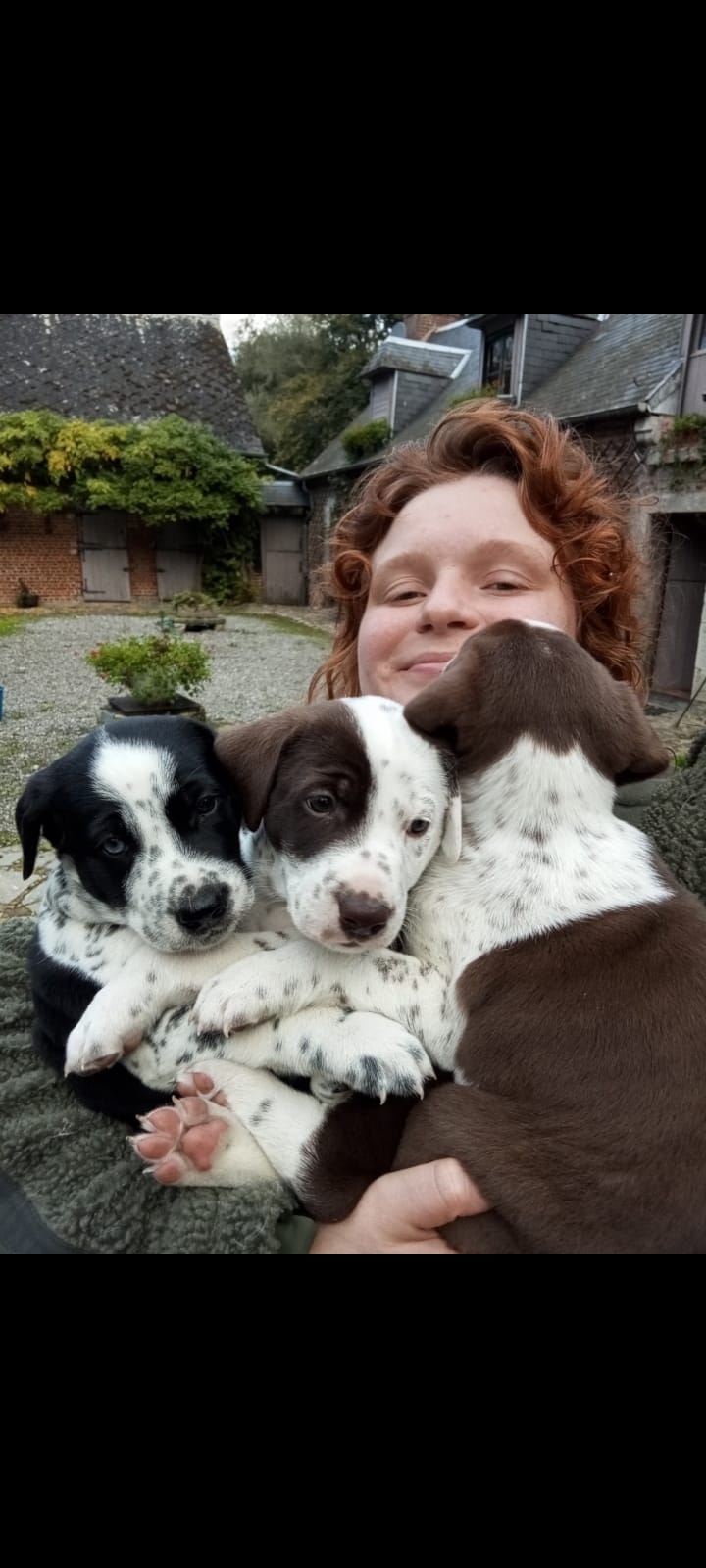 ZY DOG — dogsitter à Valenciennes